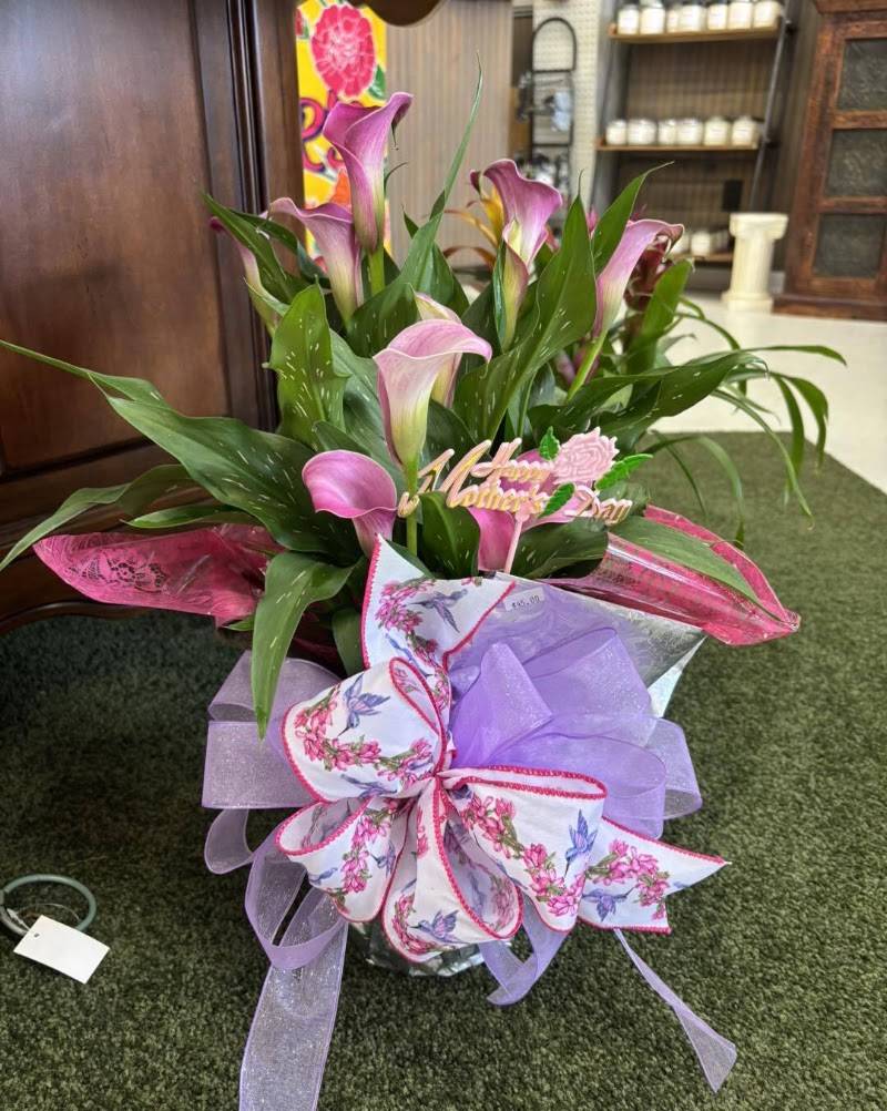 The Village Florist & Gifts