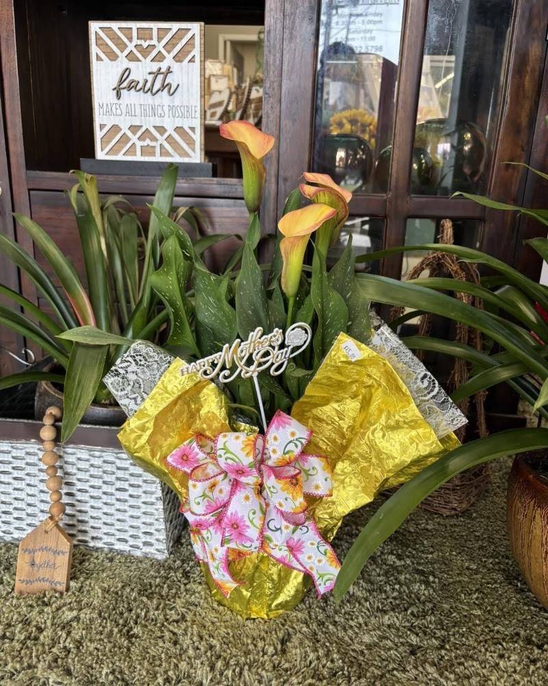 The Village Florist & Gifts